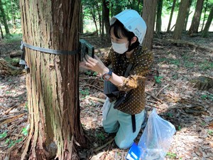 マダニ媒介の感染症、全国で拡大中　人の社会にこぼれ出る病原体、「根本治療」の道は