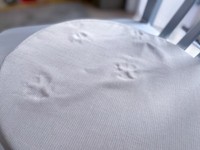 この足跡は…？（画像提供：inu_beer(@inu_beer)さん）