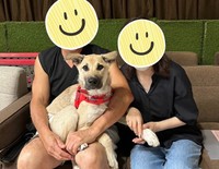 ルーもまた温かい家庭に迎えられることになりました