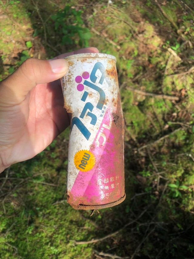 こちらはグレープ（me_young_sitterさん提供）