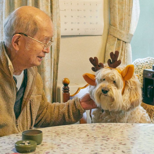 クリスマスも仲良く楽しむふたり（提供：かまぼこさん）