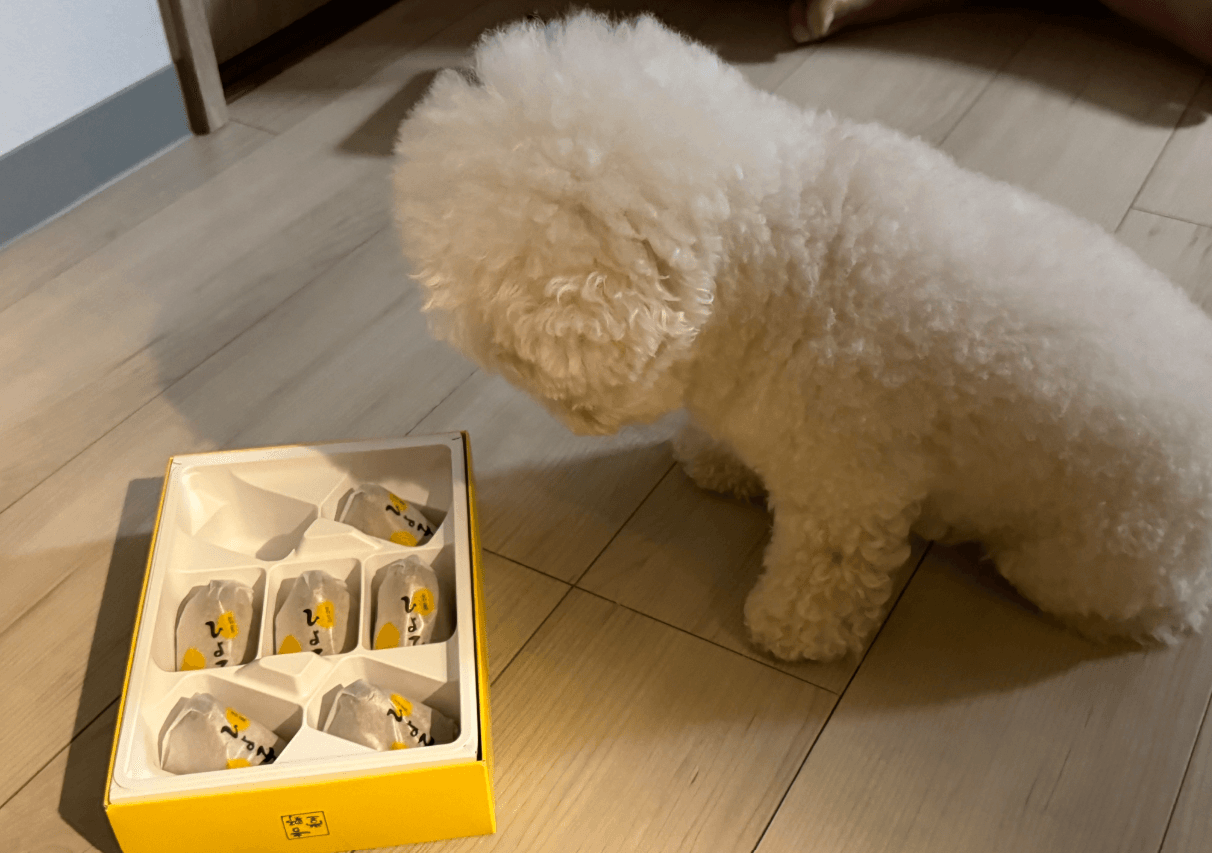 大人のお土産も一応見つめてみる（画像提供：リリモカさん）