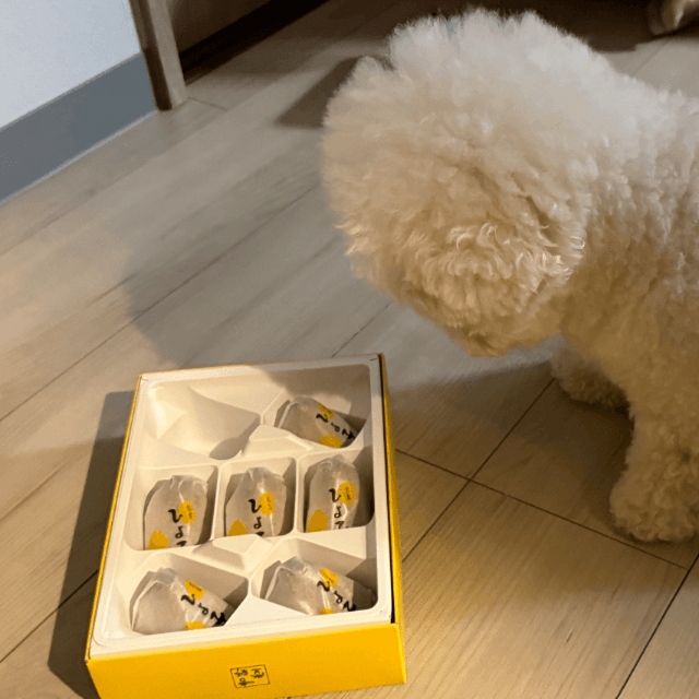 大人のお土産も一応見つめてみる（画像提供：リリモカさん）