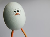 製菓店の娘に生まれた私はパックに入った卵を見たことがなかった