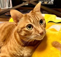 かわいいまん丸な瞳が心に刺さる…！
