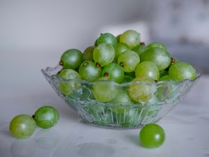 エッセイ執筆はユリイカのための営み。お風呂テーマで思い出した時間