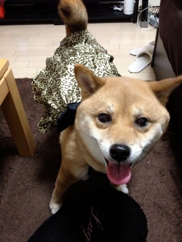 Yちゃんのうちでパーティ