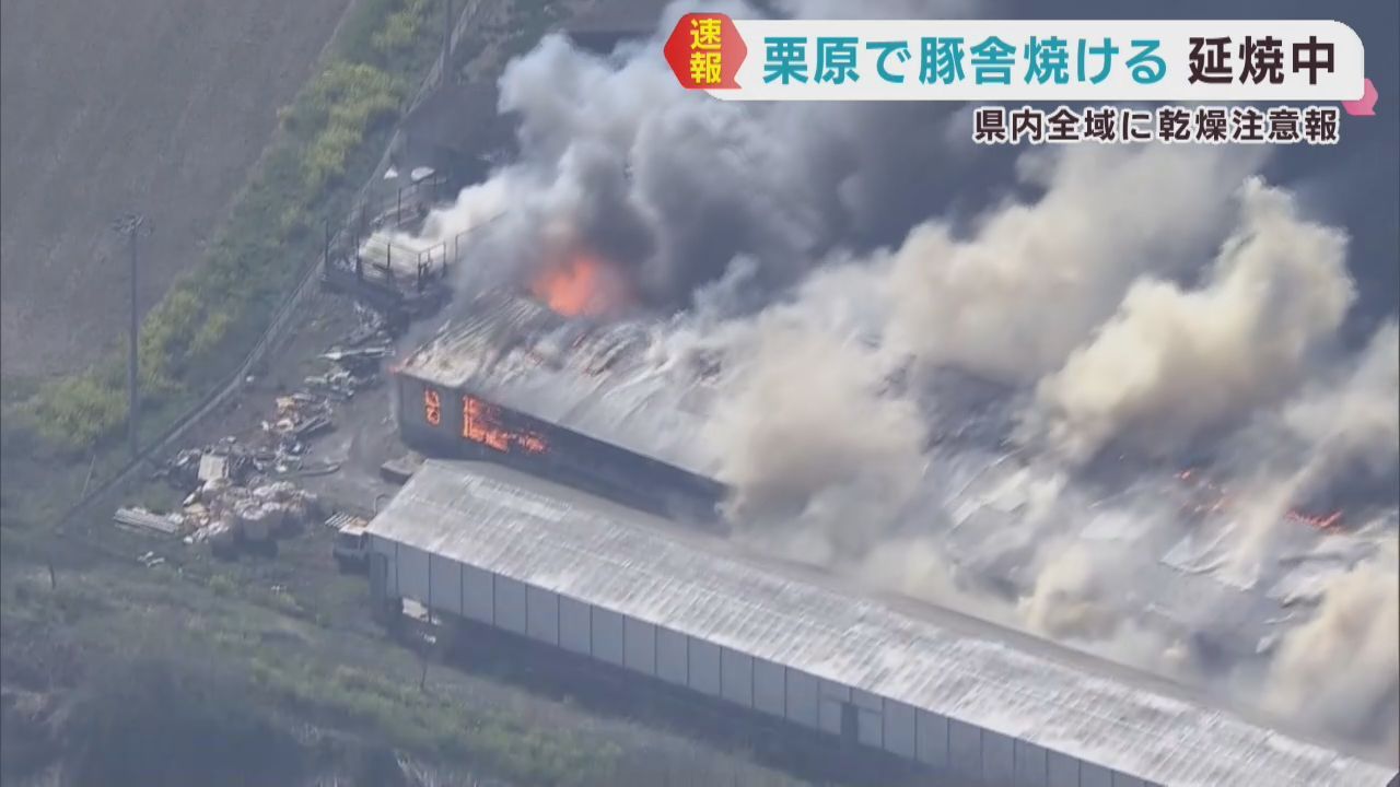 栗原市で豚舎焼ける　けが人なし