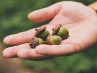 たとえ「甘え」と言われても、できるうちは実家暮らしを続けたい理由