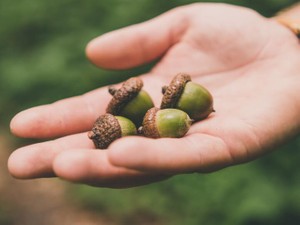 同じ名字が生活圏に4人。移住して考えるようになったルーツのこと