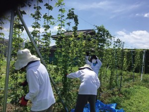 BLG諏訪の今日@諏訪～BLGの活動報告