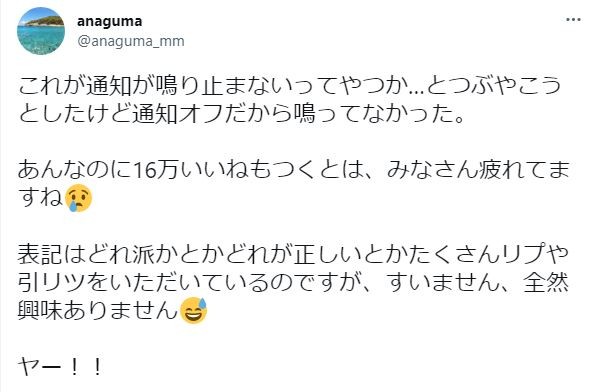 ツイートがバズッたことを受けてのanagumaさんのコメント ※anagumaさん提供