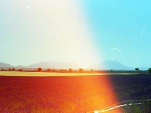 「幸せにする」なんてたわごとだ。私を幸せにするのは誰？