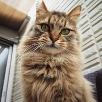 初シャンプー、ふわふわモフモフに