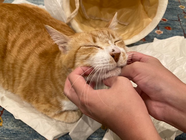 小顔マッサージ