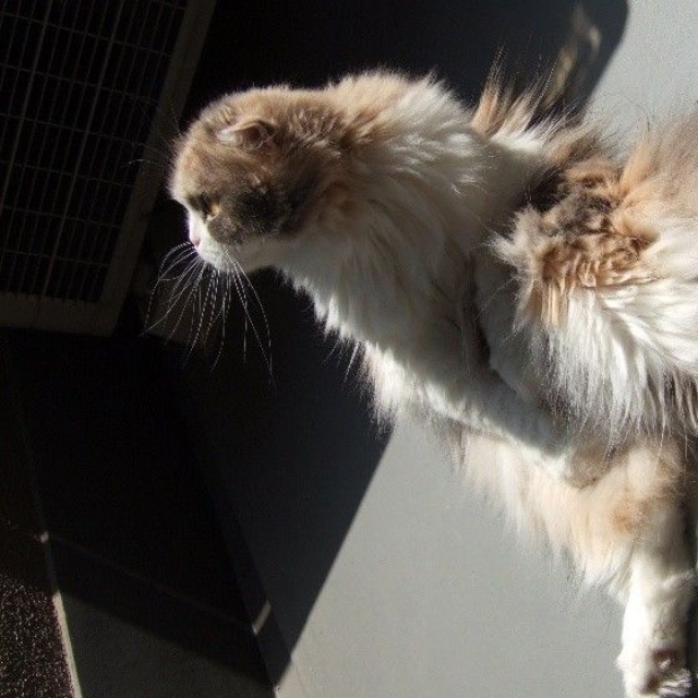 好き嫌いなく食べる子。大好物は、いちごだった