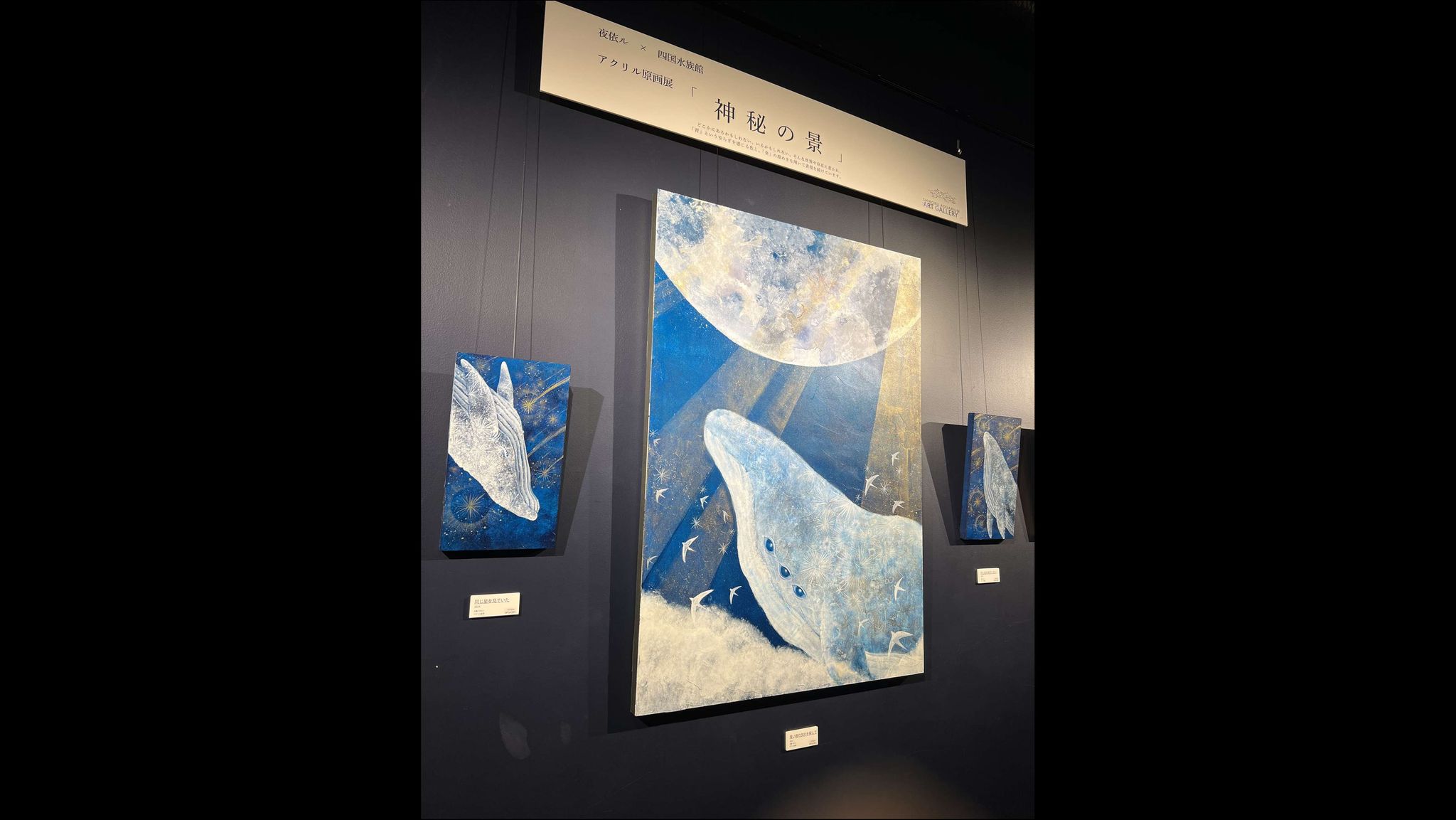 海の画廊「華　音」 海の生き物にまつわる伝説をアクリル絵画で表現 四国水族館で展覧会