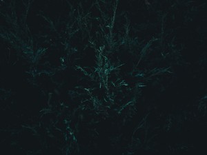  アラサーの婚活。求めていたのは結婚という「ステータス」だった