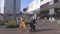 岡山城の一時閉館をPRしたのは黒と金の衣装を身にまとった2人の忍者