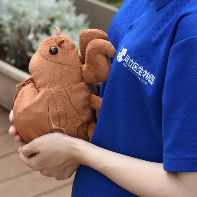 大きめのかわいいセミの抜け殻ぬいぐるみ（足立区生物園提供）