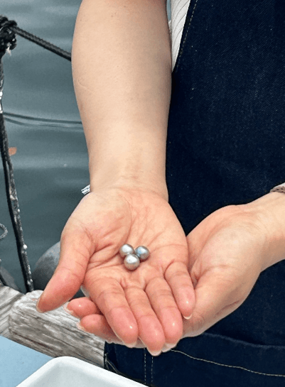 うちの子の真珠を取り出した瞬間の感動は言葉にできないほどだった