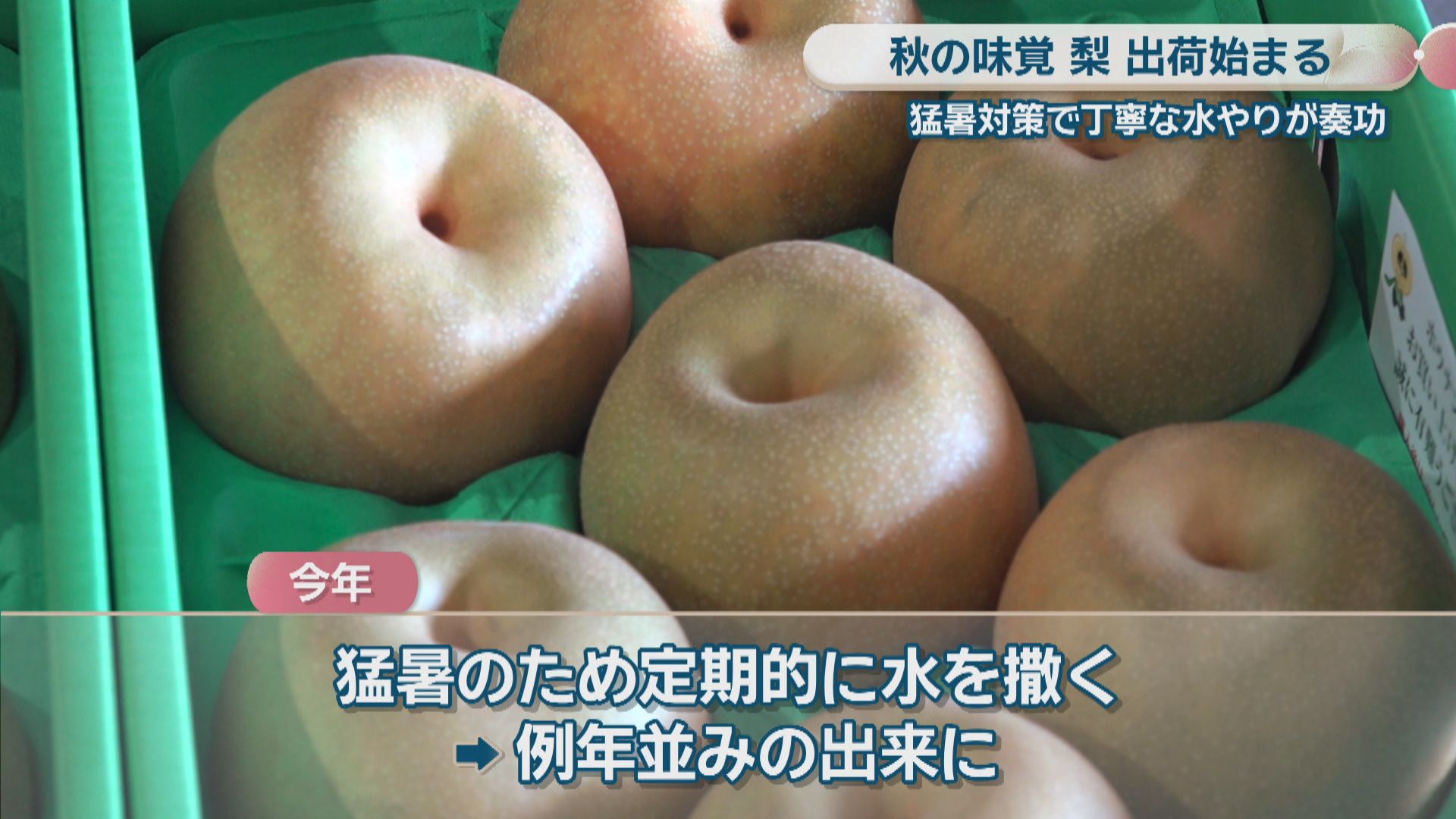 10cf9e8986bfc6044152035c4fafc1
