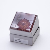 植物の美しい瞬間を4cm角のアクリルキューブに封入した「Sola cube」（カルチュア・コンビニエンス・クラブ提供）