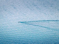 結婚すれば異動回避。それは職場から結婚を押しつけられているよう。私はそんな風に選びたくない