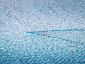 結婚すれば異動回避。それは職場から結婚を押しつけられているよう。私はそんな風に選びたくない