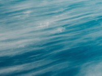 夏になると、ロイヤルブルーの半袖シャツが私を元気にしてくれる