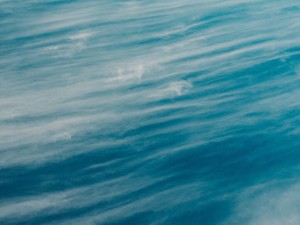 わたしがこんなになったのは、試験問題で読んだ「強い風」のせい