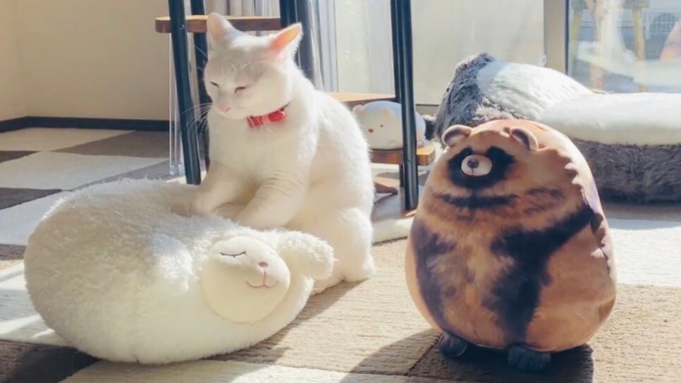 01da4799bbfbbd99b93496363a412c