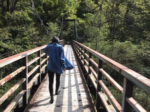 みたらしだんご