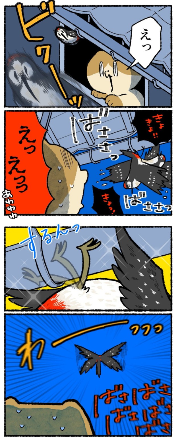 【漫画】『怪音の正体』12（ゆうさん提供）