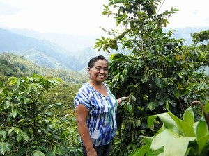 フェアトレード認証つき商品が存在感　児童労働禁止、環境に優しい…コーヒー産地は今