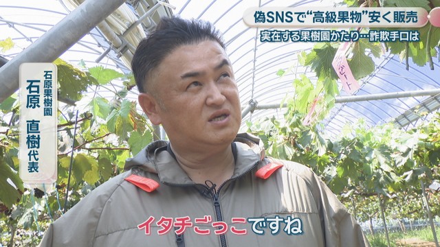 石原果樹園／石原直樹 代表