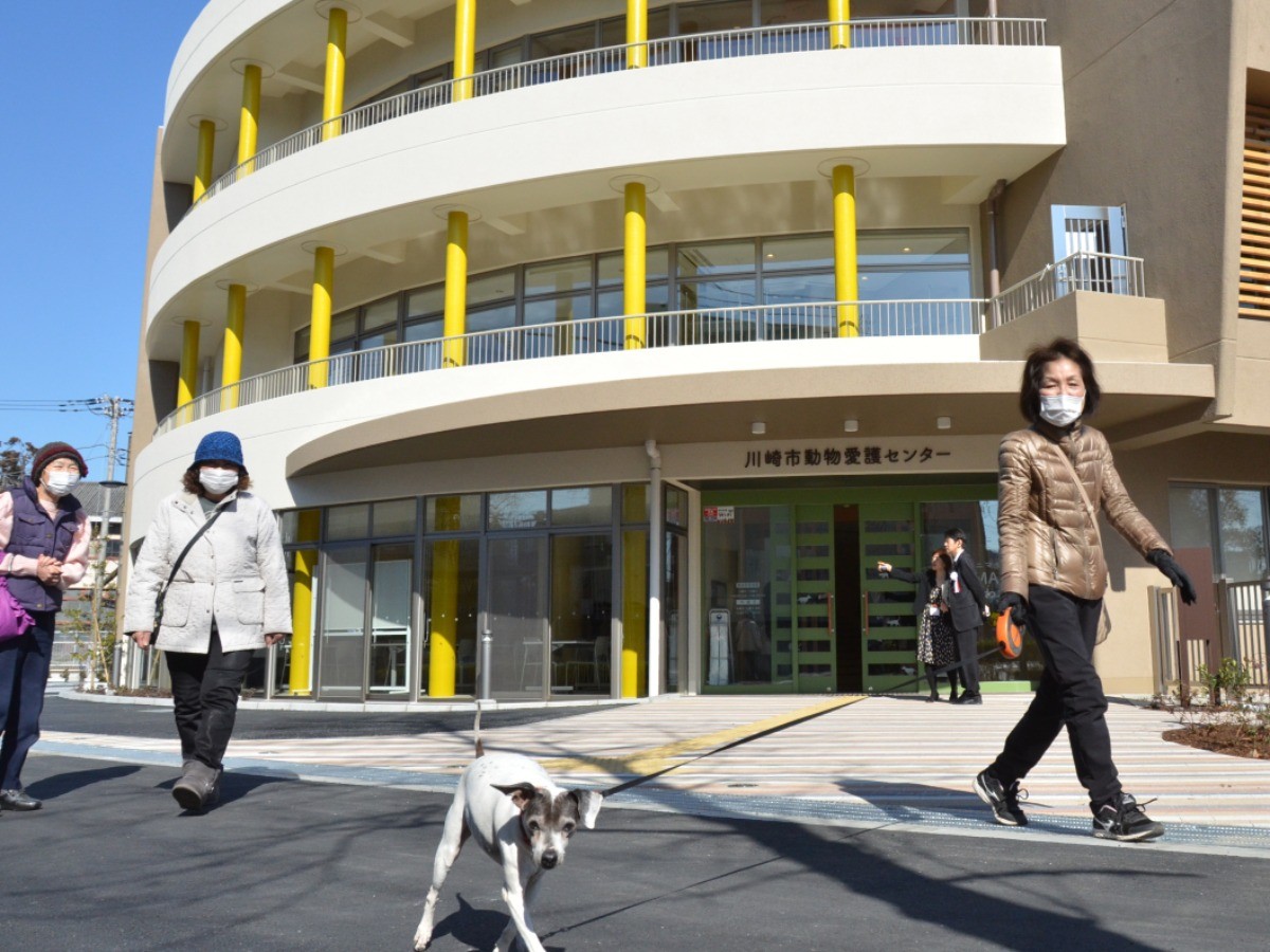 川崎に新しい動物愛護センター完成 愛称は アニマモール 犬 猫との幸せな暮らしのためのペット情報サイト Sippo