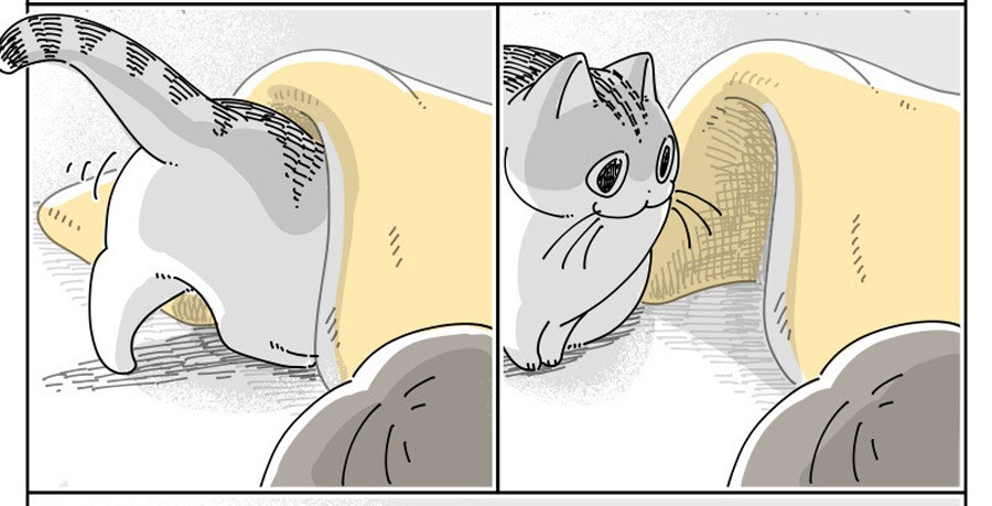 漫画】眠っている猫に、布団をかけてあげたら→目を覚まして立ち去る