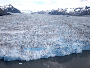 バイデン政権はなぜ気候変動を最優先課題にするのか　アメリカが感じる危機感の正体