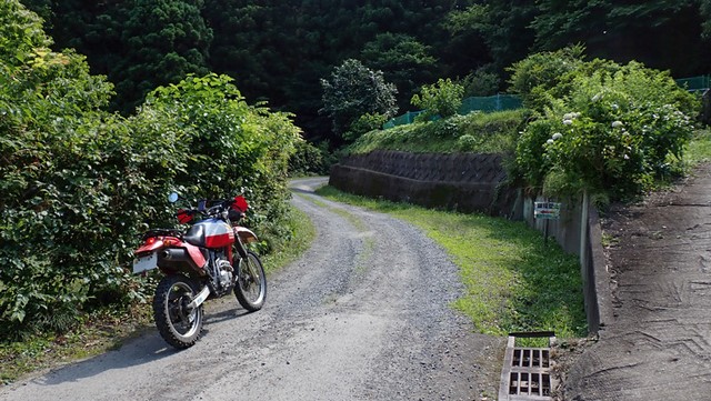 林道の中へと入っていきます。 ※ナノレカワさん提供