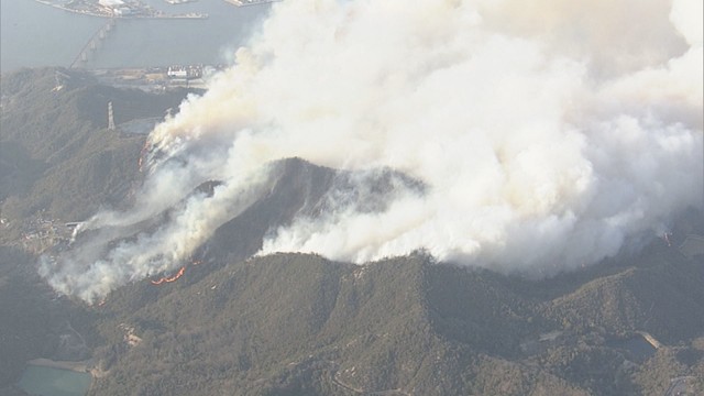 岡山・南区で発生した山火事　3月