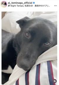 冨永愛のインスタグラム＠ai_tominaga_officialより