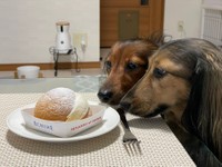 これ誰の？美味しそうだな〜＝るのんさん（@lunon0401）提供