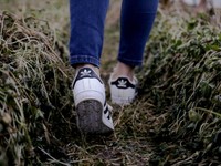 「また会おう」は言わない。私のなかにきらめく夏山の思い出