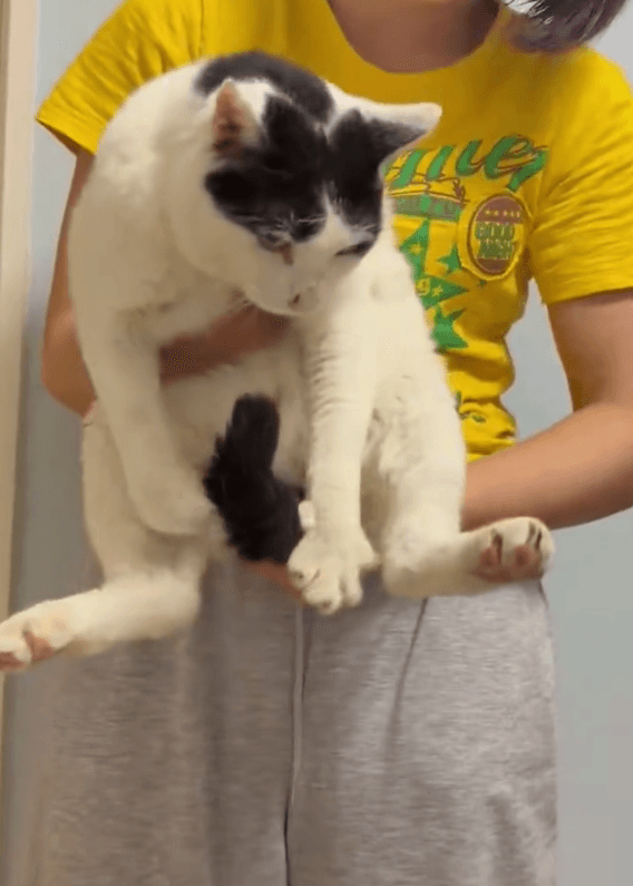 やっと抱っこできた！記念の1枚 画像提供：猫沼さん