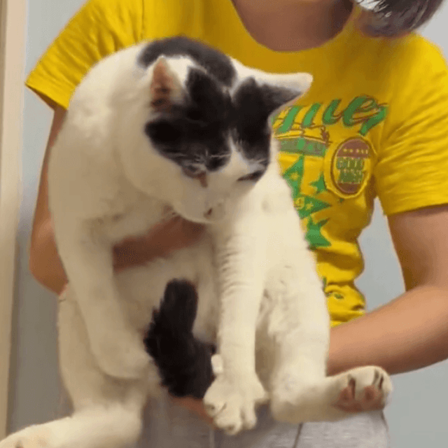 やっと抱っこできた！記念の1枚 画像提供：猫沼さん