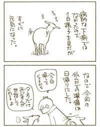 【漫画】『外泊はしないできない』5（くるねこ大和さん提供）