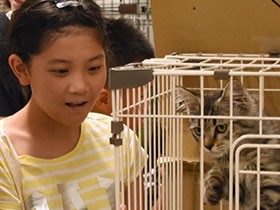 犬猫のこと、どれくらいわかる？　小学生、ワンニャン検定に挑戦