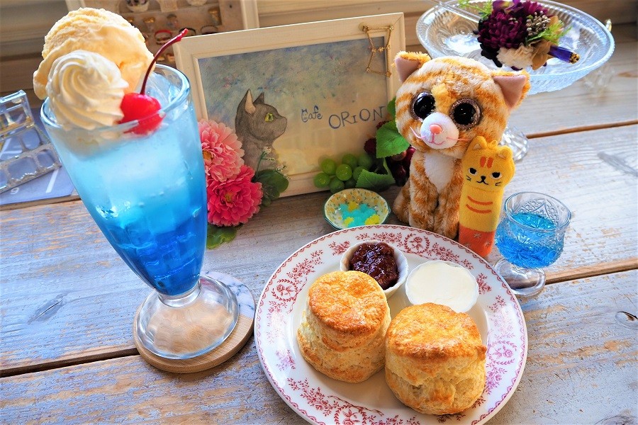 飲食店での「ぬい撮り」や「アクスタ撮影」でトラブル増加 長時間撮影