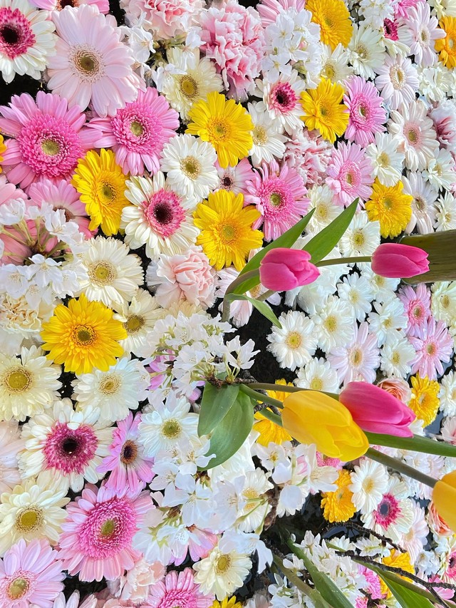 ピンクのチューリップが春らしい花手水（画像提供：荘内神社さん）